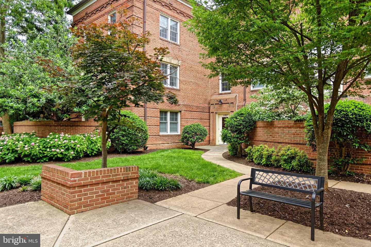 1107 N Pitt Street #1b photo 4