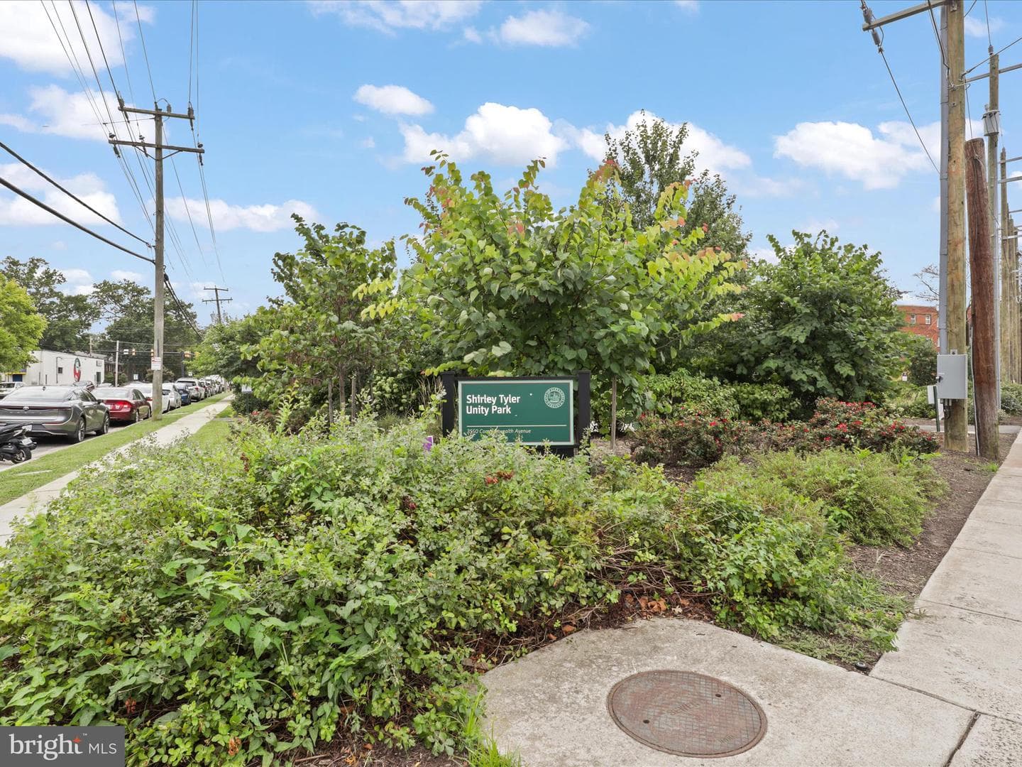 9 E Glebe Road #c photo 33