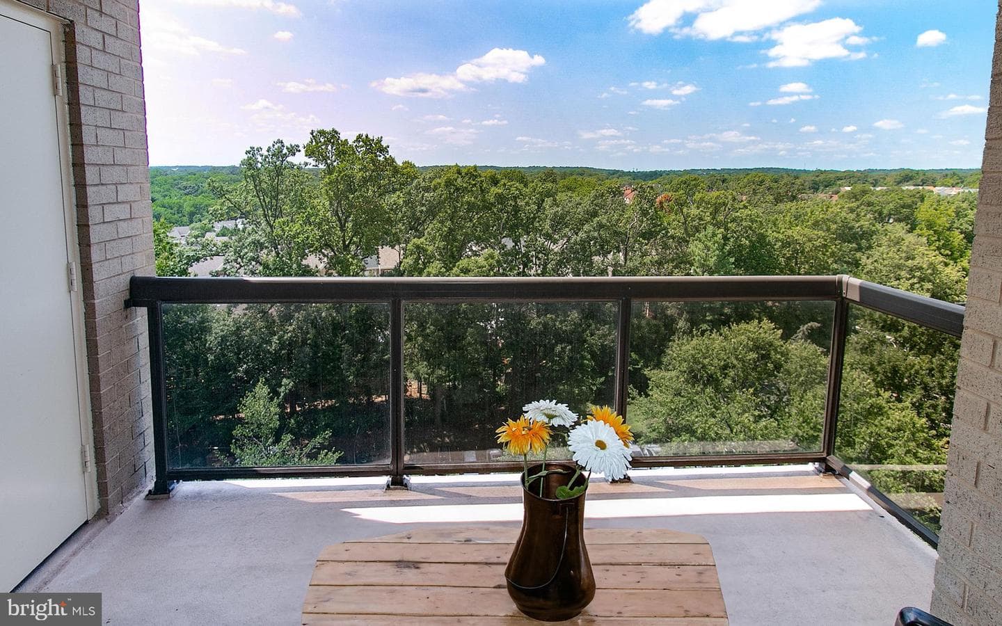 307 Yoakum Parkway #1024 photo 18