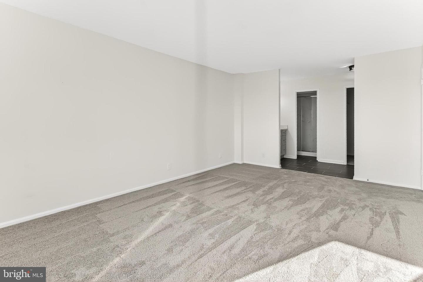 205 Yoakum Parkway #1509 photo 28