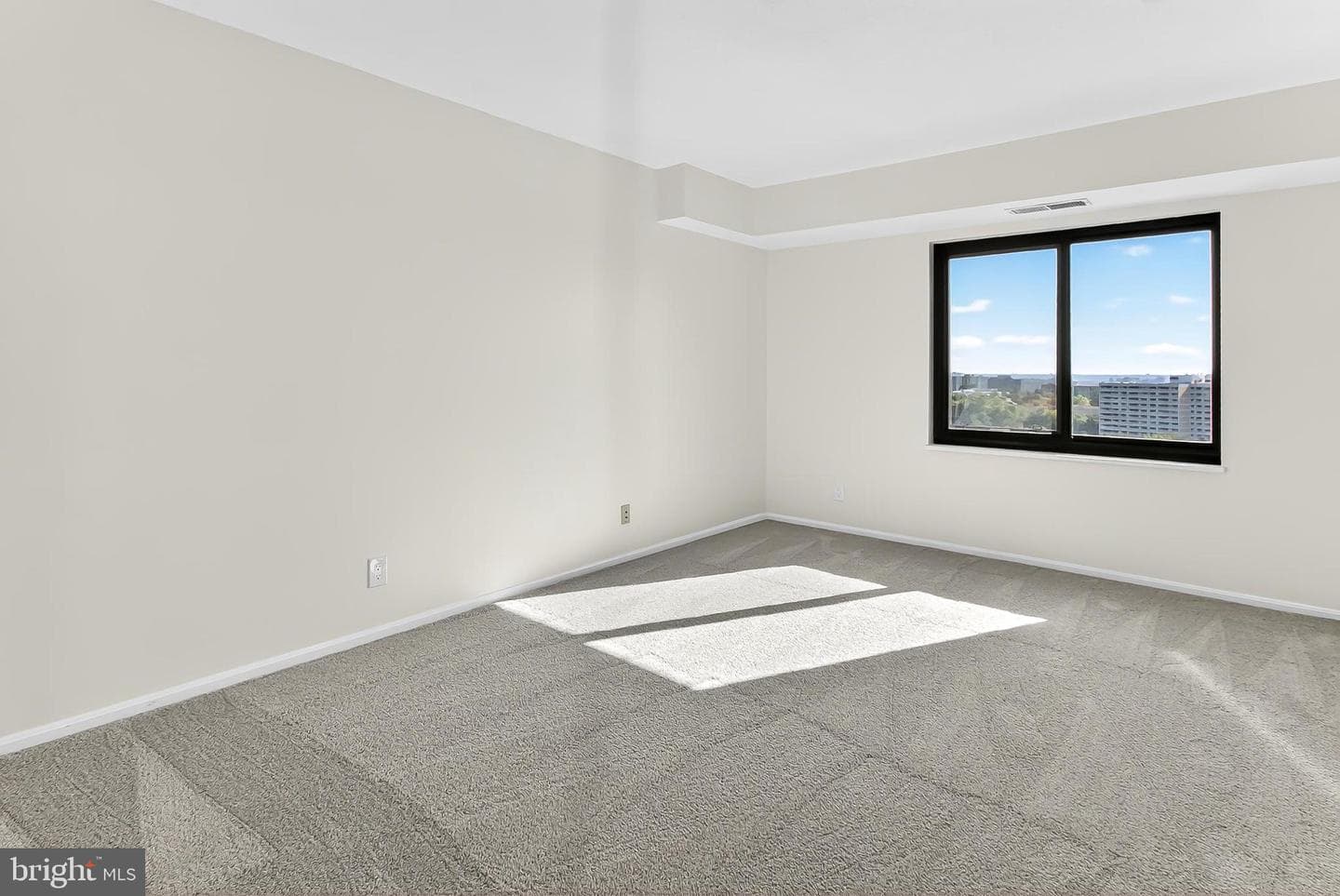 205 Yoakum Parkway #1509 photo 37