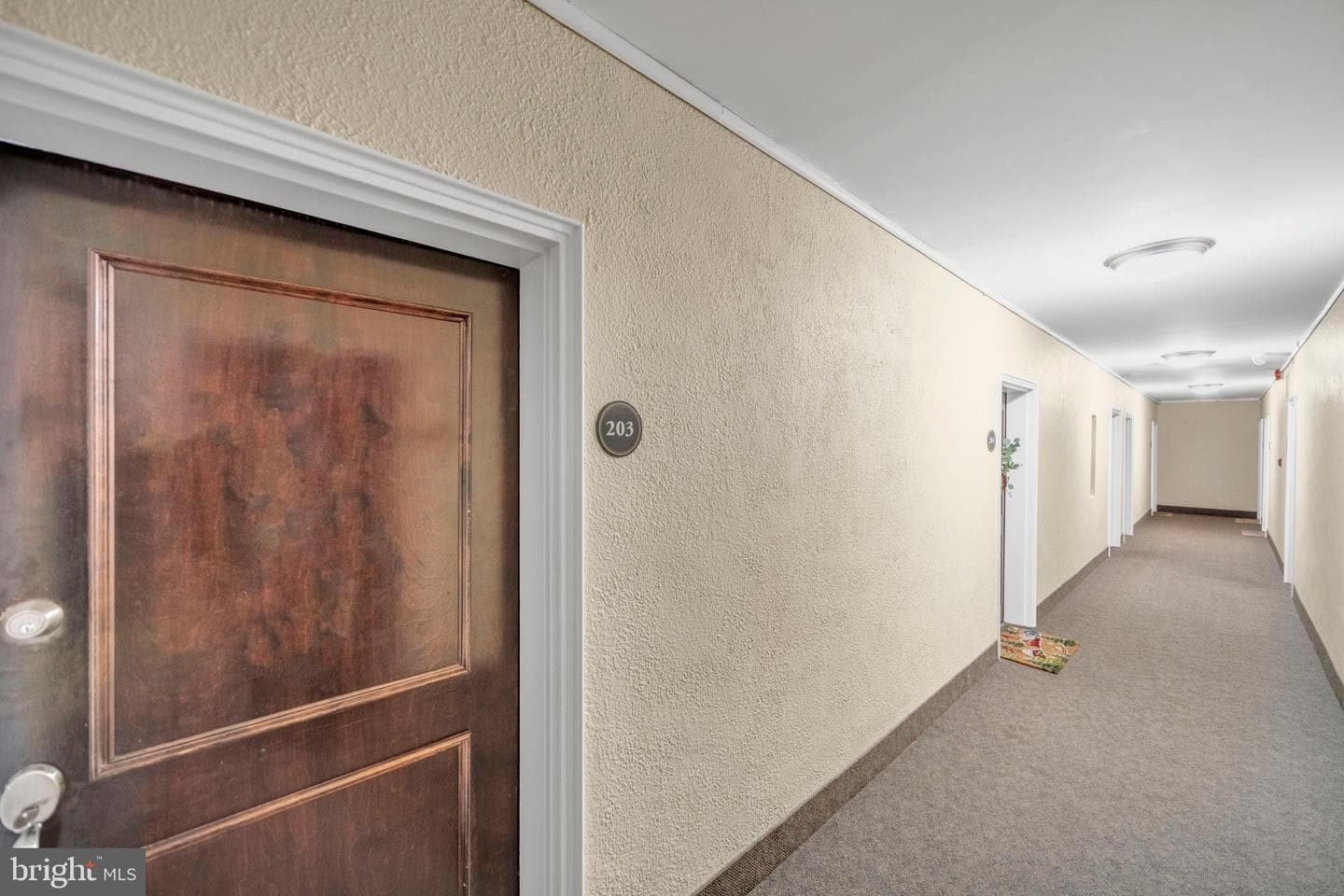 719 S St Asaph Street #203 photo 18