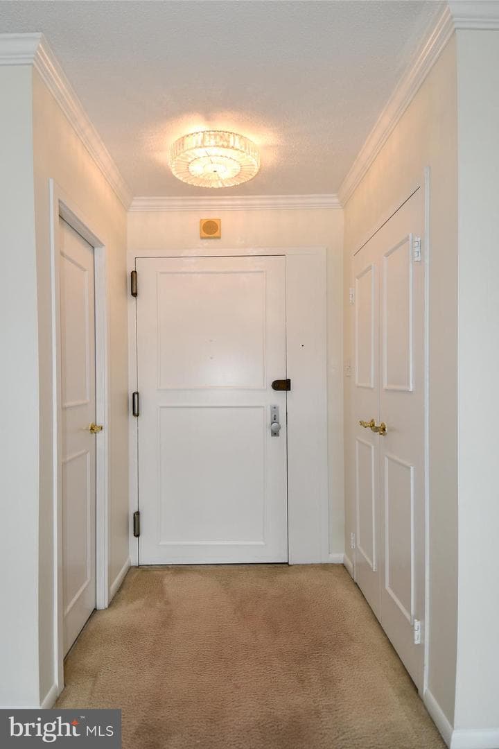 400 Madison Street #301 photo 43