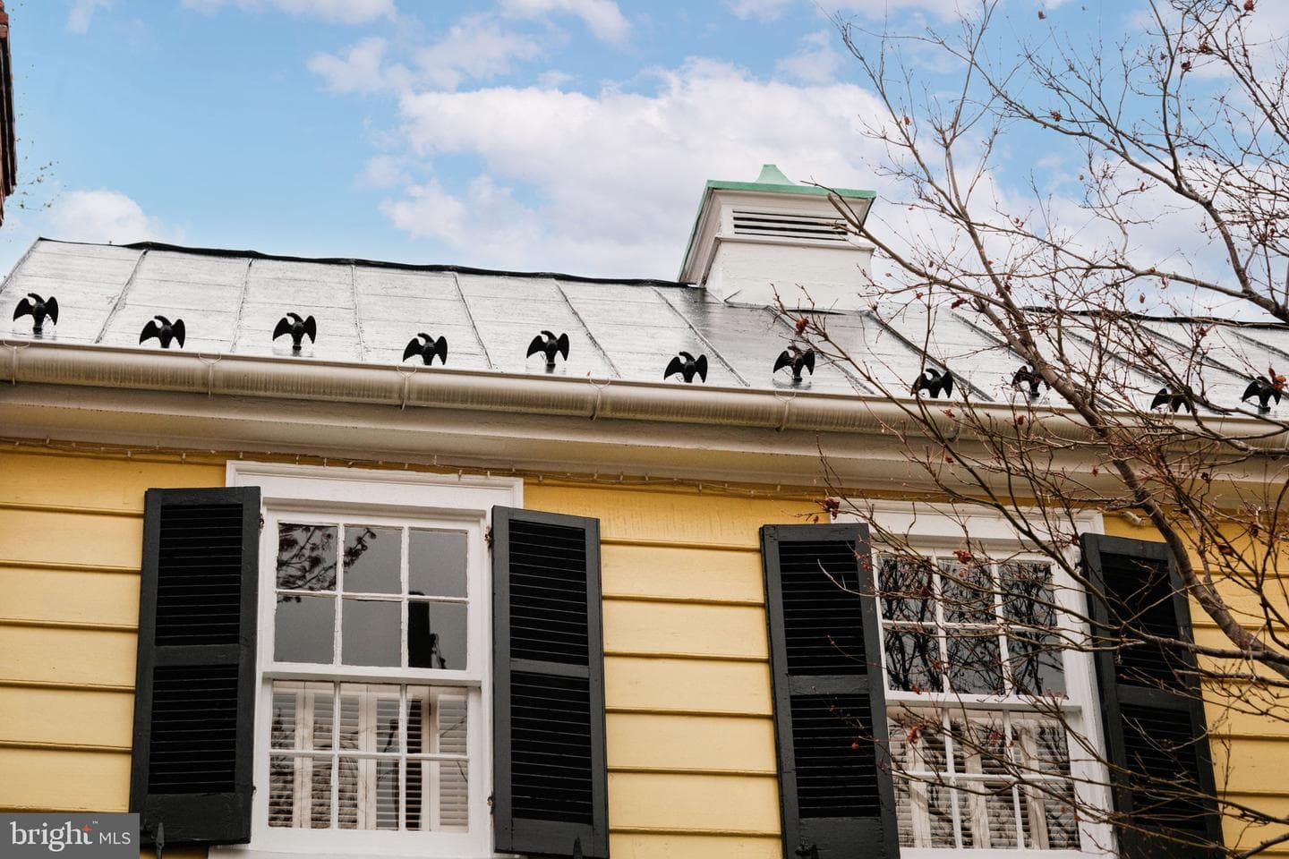 123 S Pitt Street photo 35