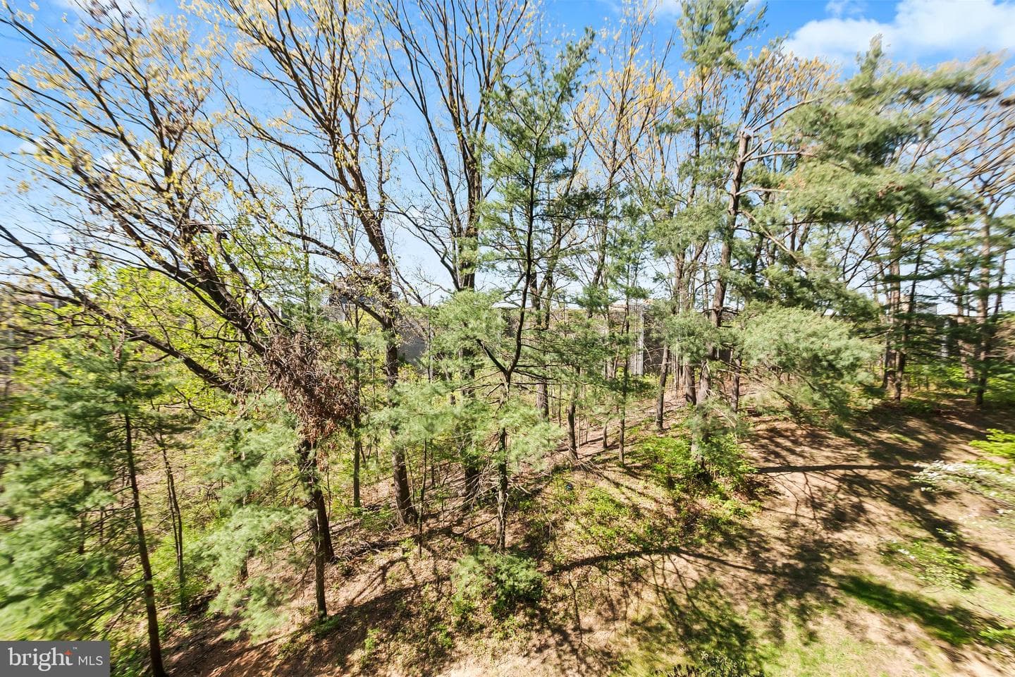 6301 Stevenson Avenue #406 photo 34