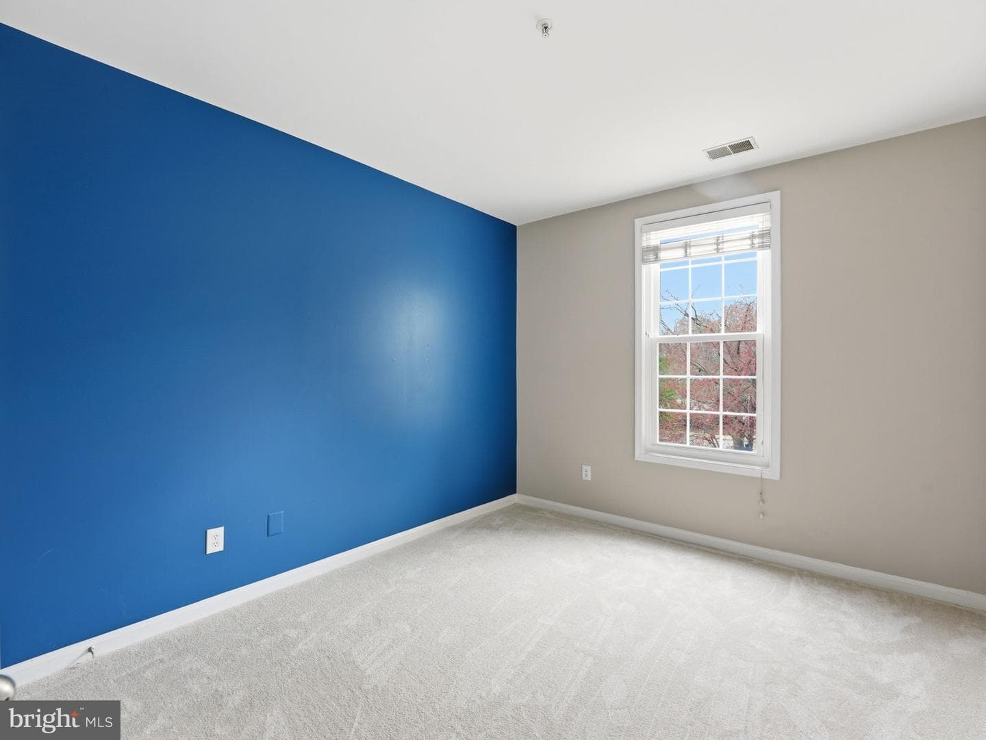 4667 Longstreet Lane #205 photo 21