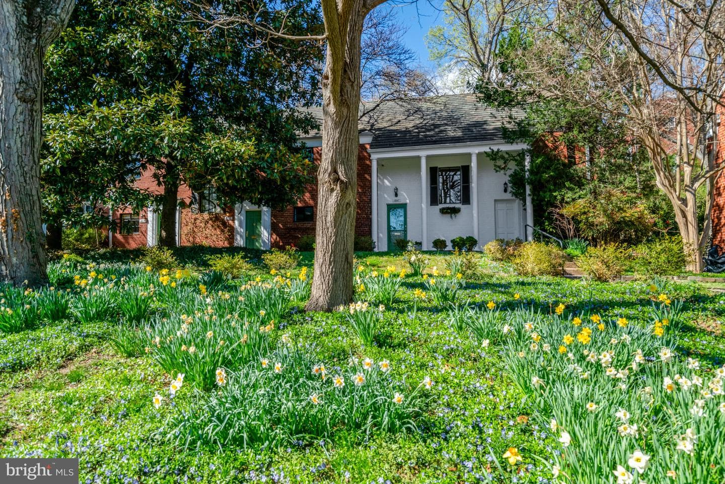 1647 Preston Road photo 6