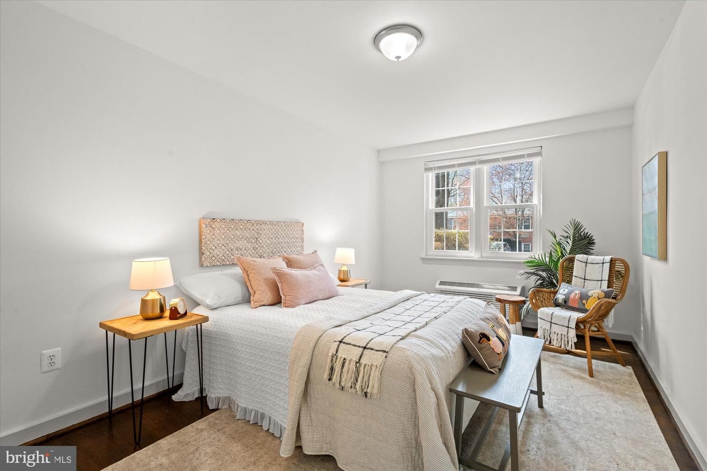 12 Ashby Street #f photo 13