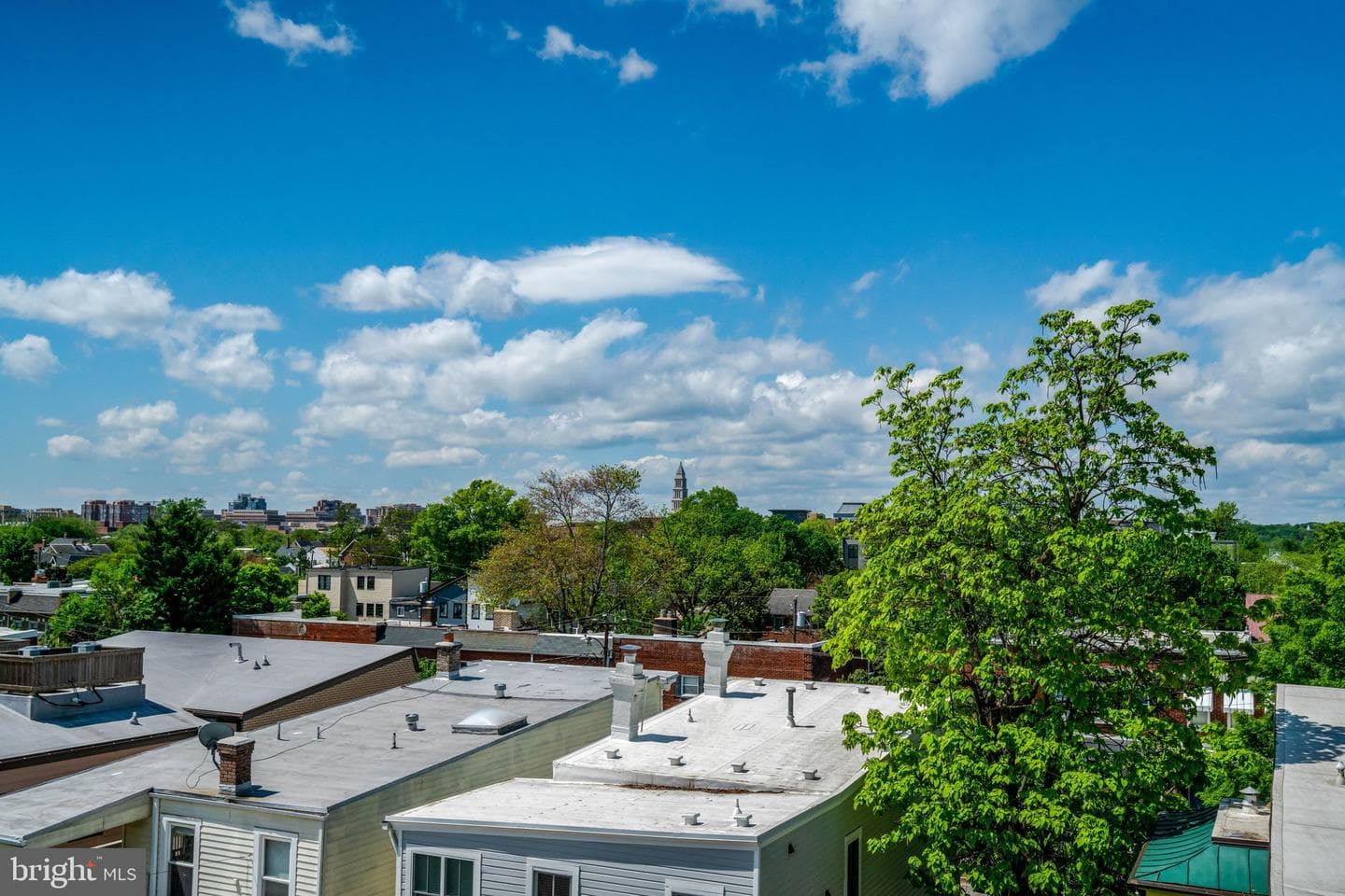 714 Wythe Street photo 43