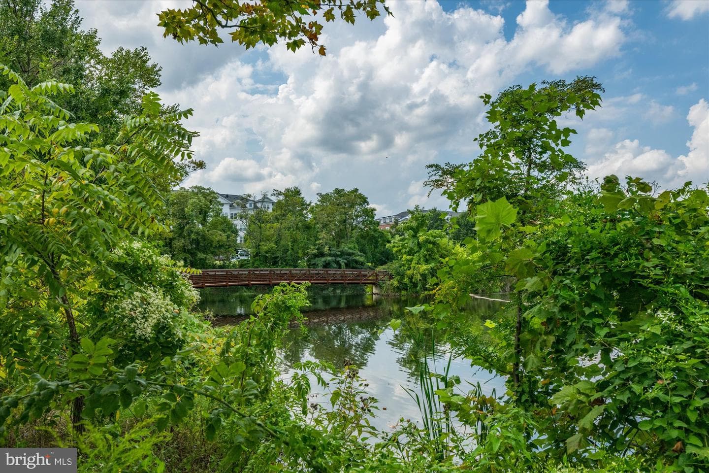 5115 Donovan Drive photo 48