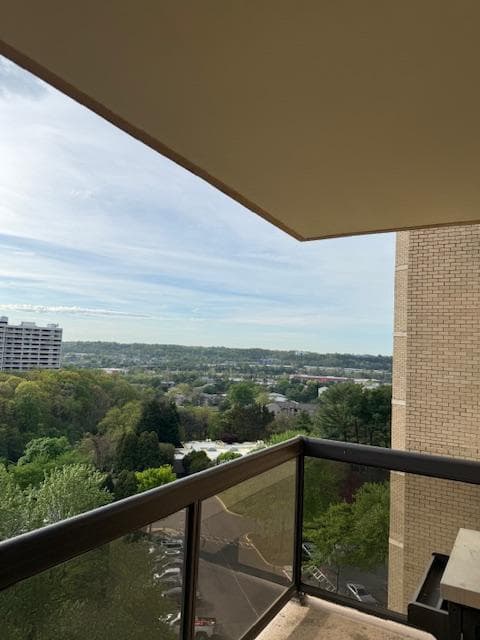 203 Yoakum Parkway #1004 photo 43