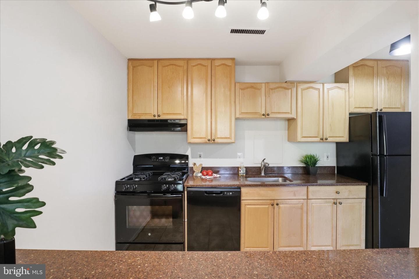 501 N Armistead Street #t2 photo 11