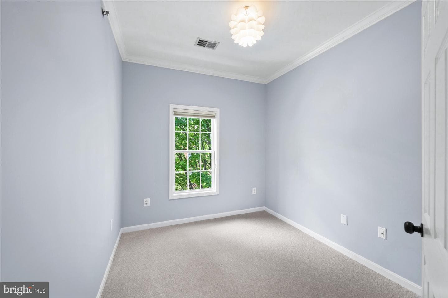 411 Ashford Lane photo 43