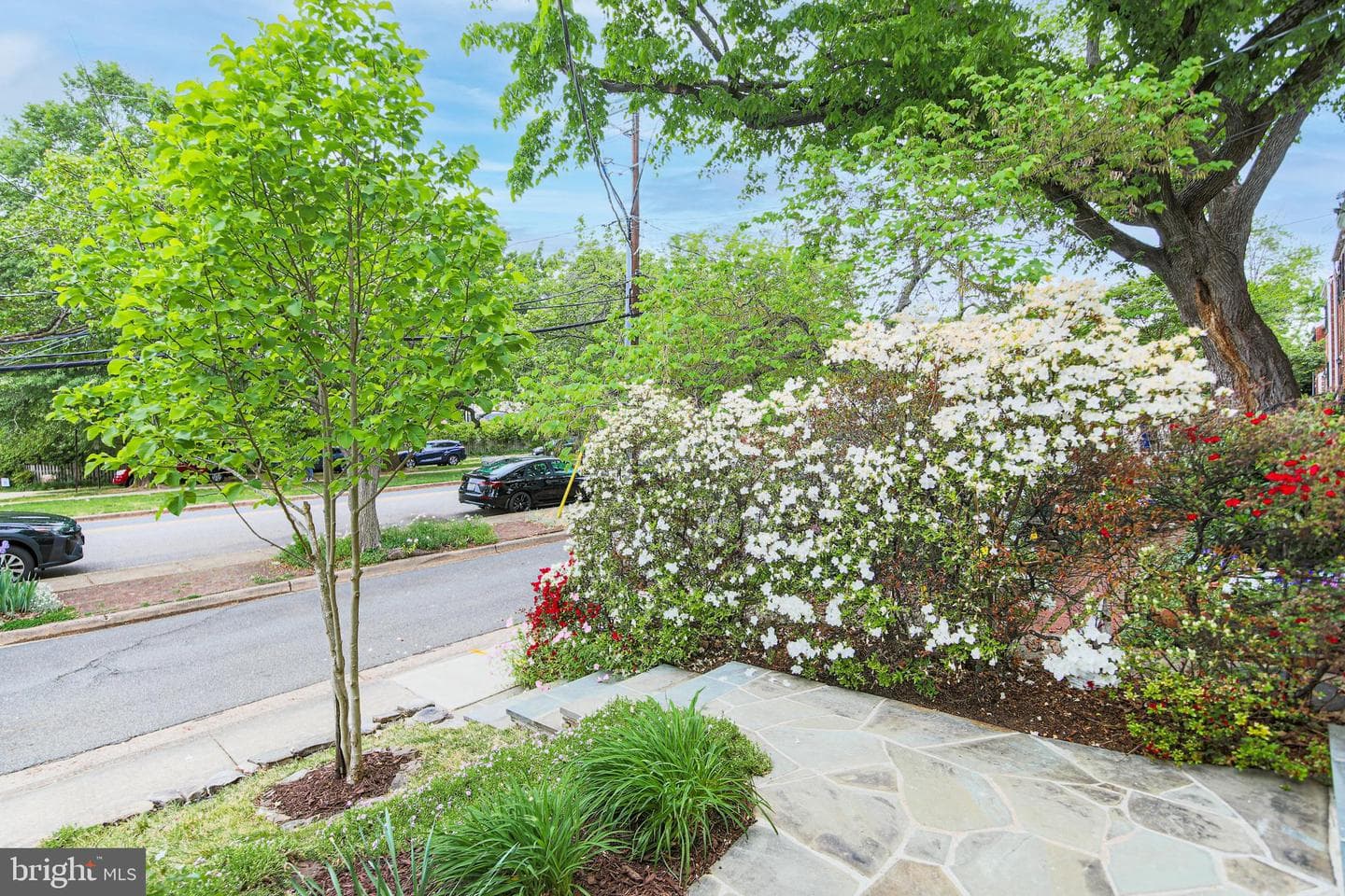 1107 Powhatan Street photo 6