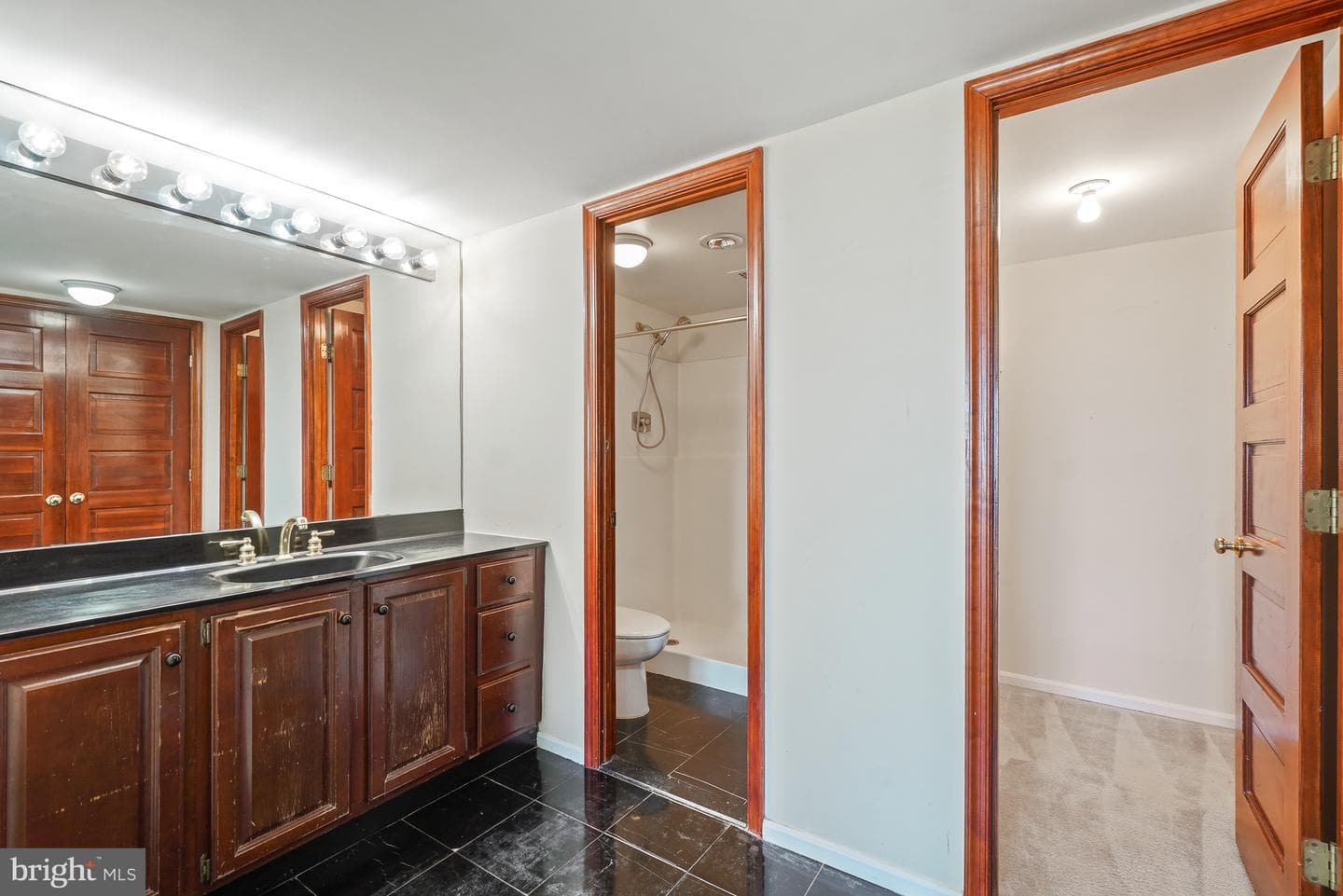 205 Yoakum Parkway #1809 photo 27