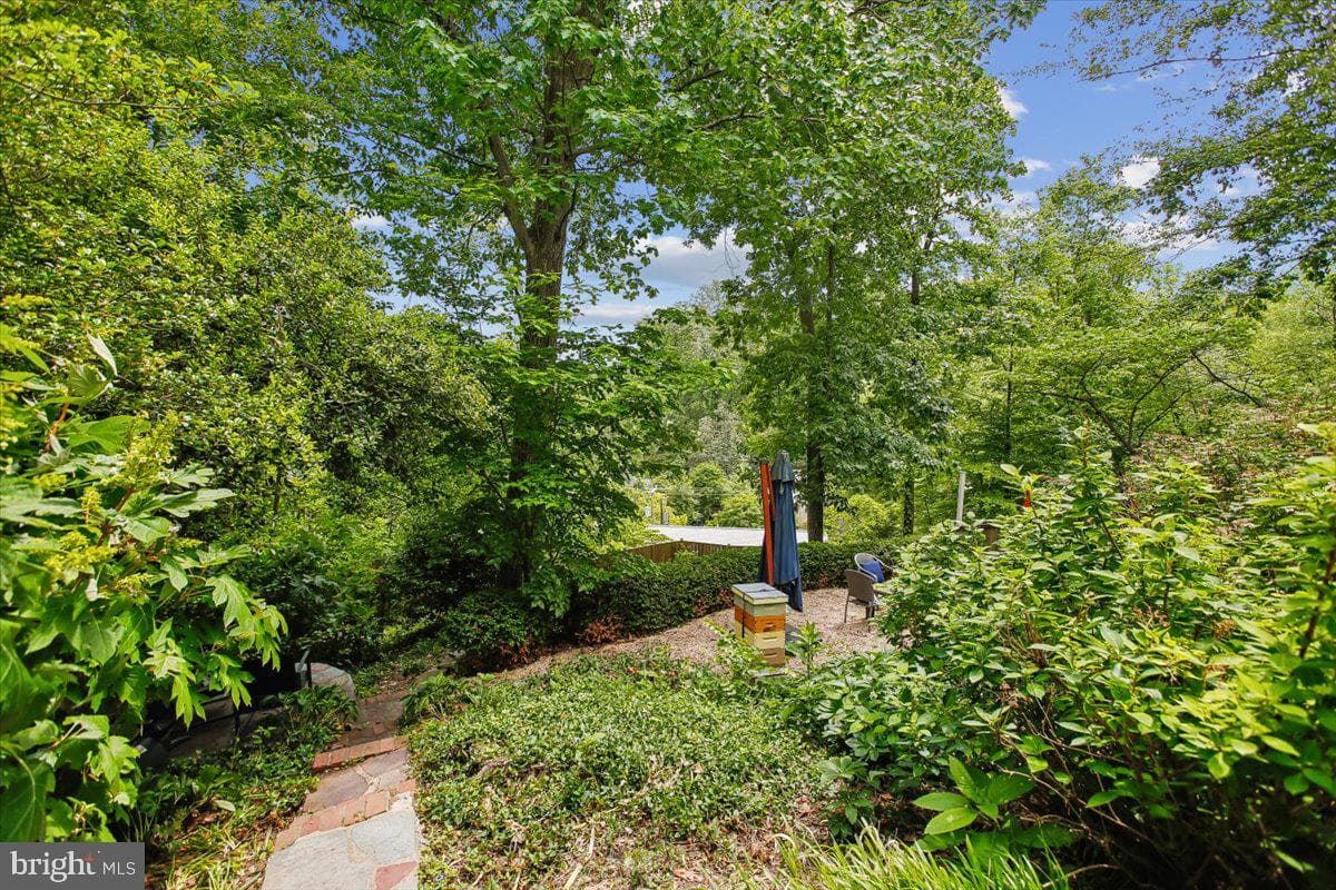 3303 Alabama Avenue photo 76