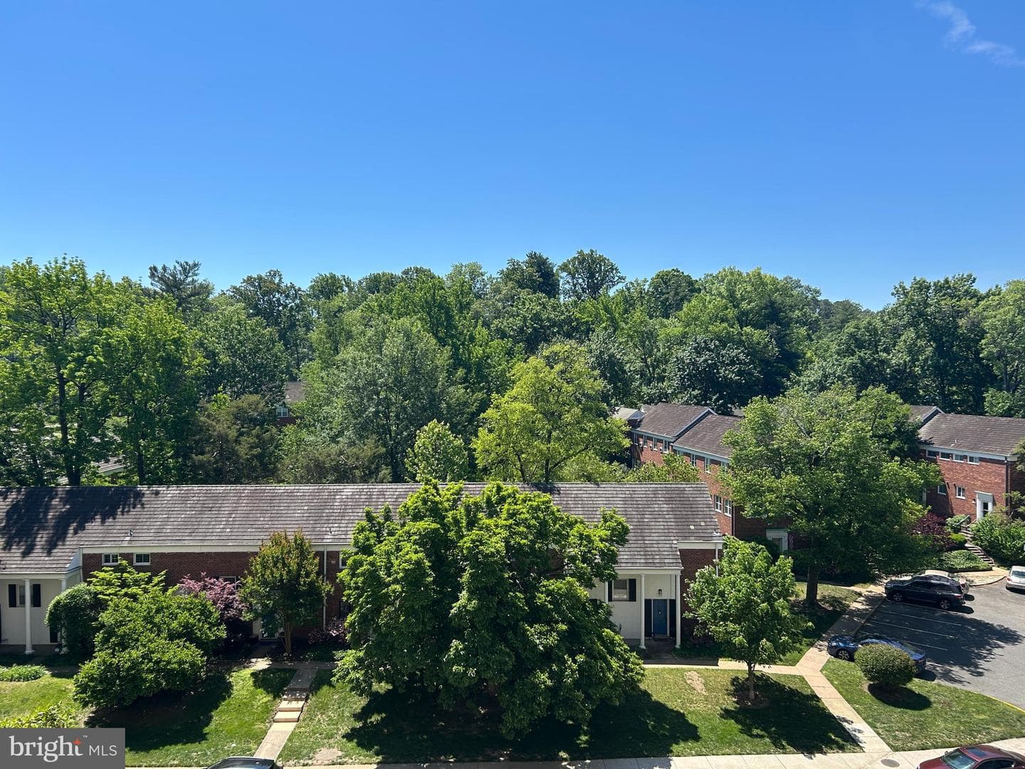 1225 Martha Custis Drive #505 photo 20