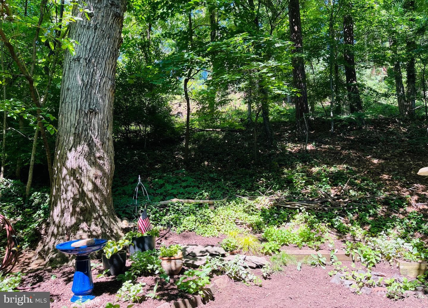 1607 Preston Road photo 27