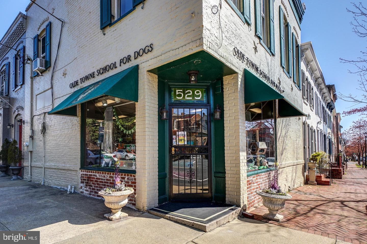 902 Oronoco Street photo 61