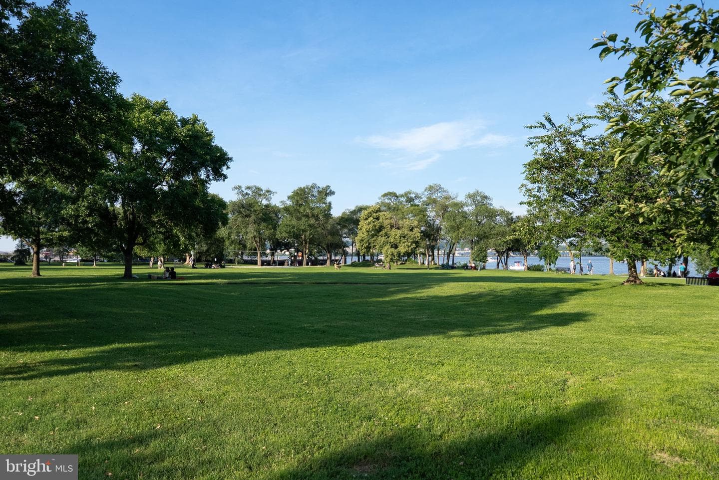 1301 E Abingdon Dr # 1 photo 12