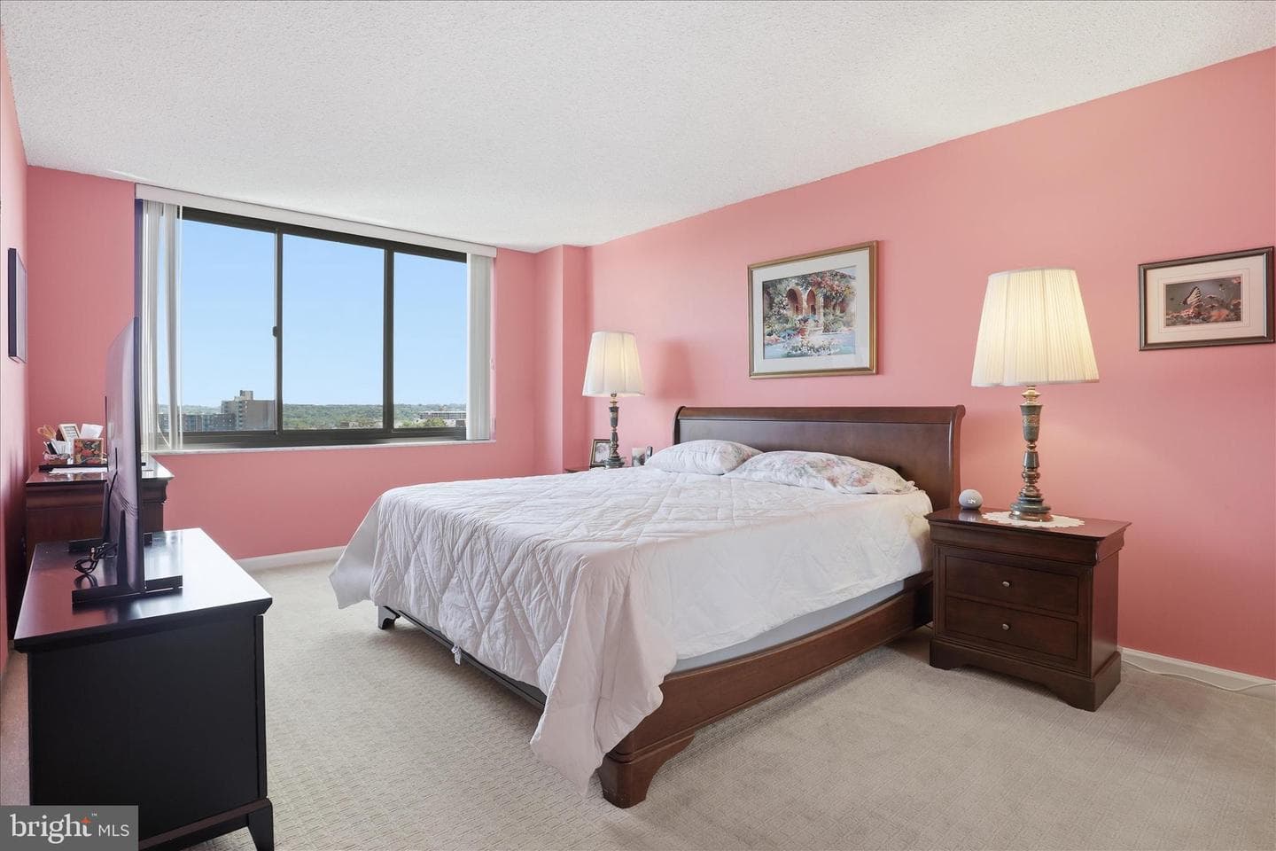 5500 Holmes Run Pkwy # 1406 photo 17