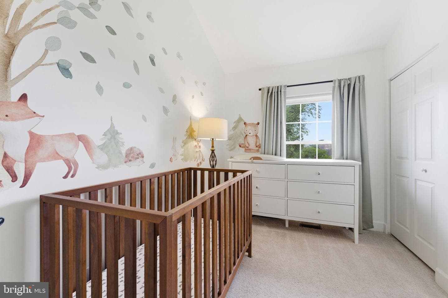45 Herbert Street photo 21