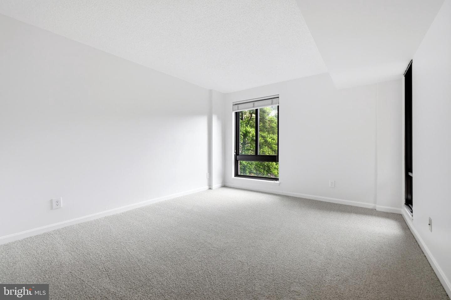 807 N Howard Street #213 photo 34