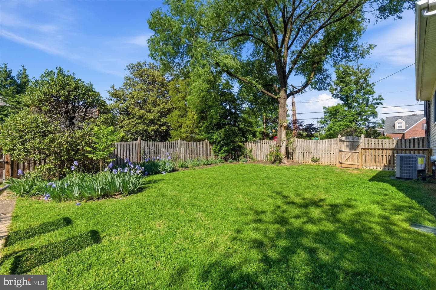 2434 Cameron Mills Road photo 42