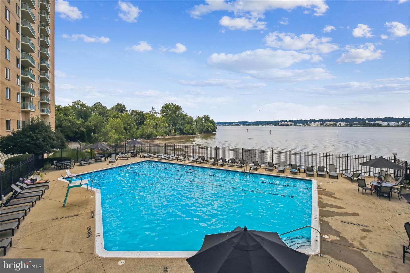 501 Slaters Lane #1407 photo 51