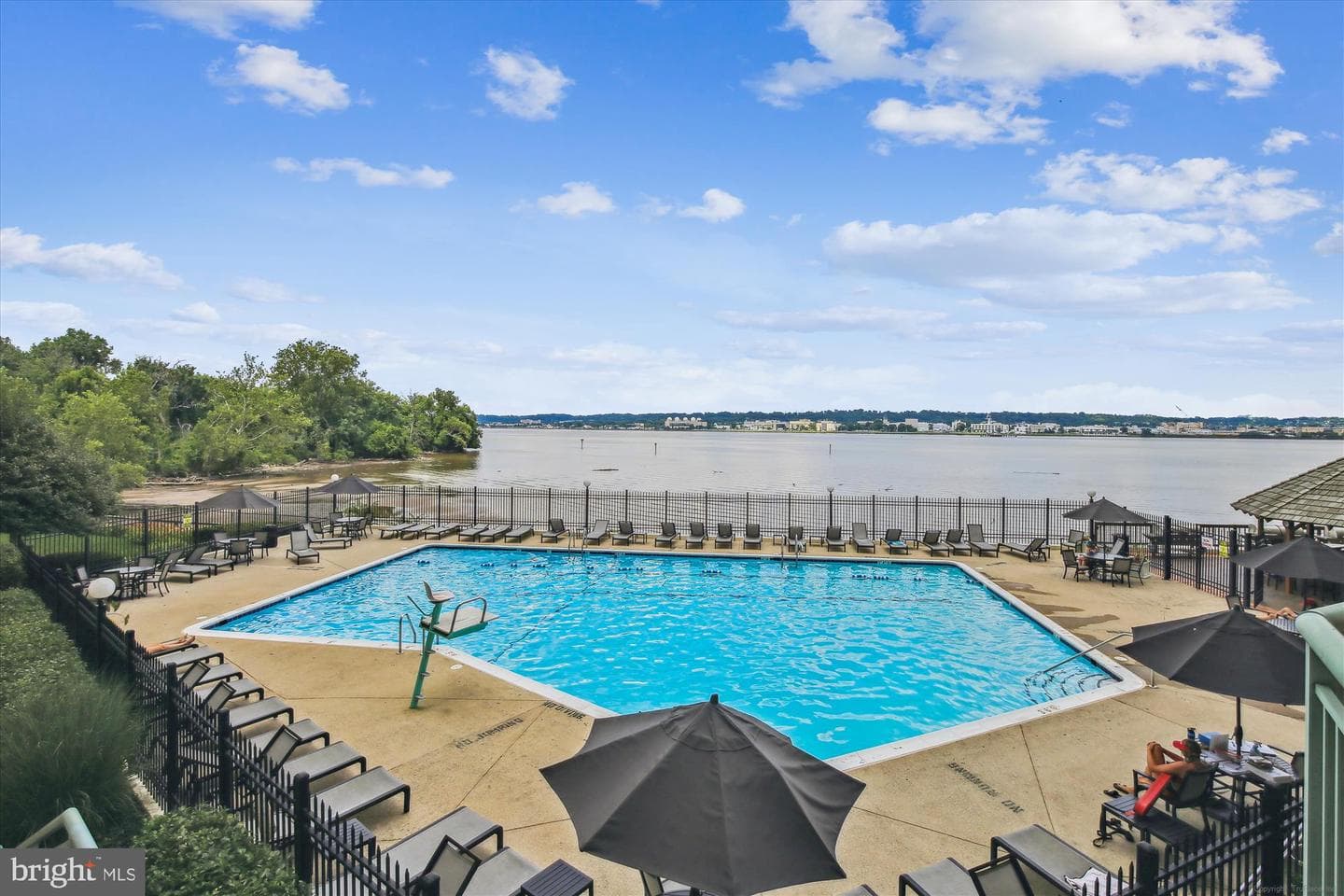 501 Slaters Lane #1407 photo 52