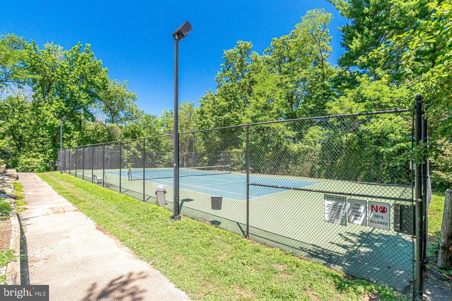 1619 Mount Eagle Place photo 28