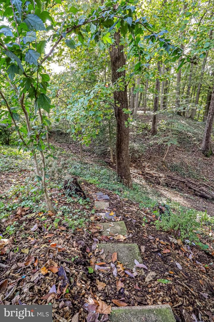 1108 Archer Court photo 46