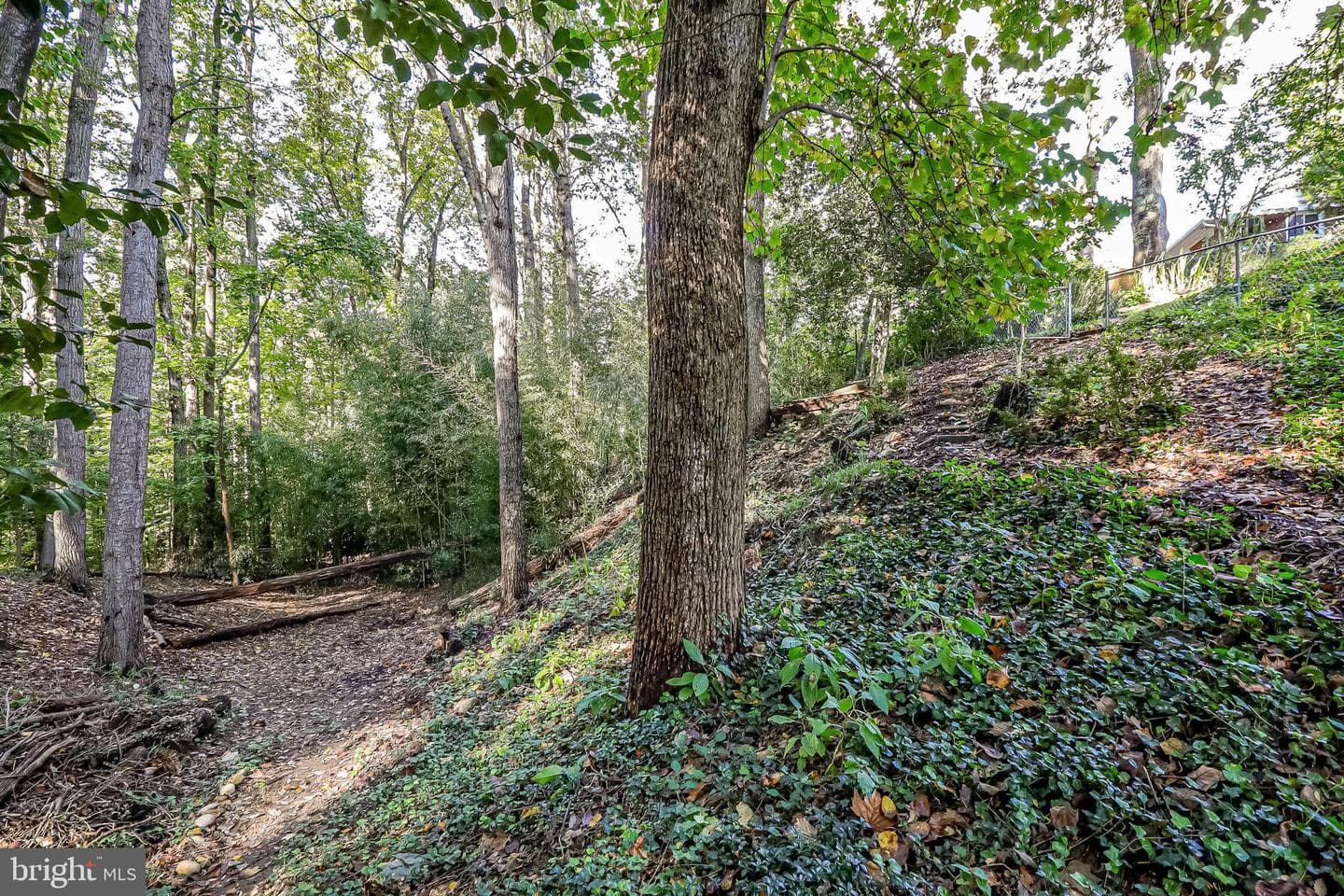 1108 Archer Court photo 48