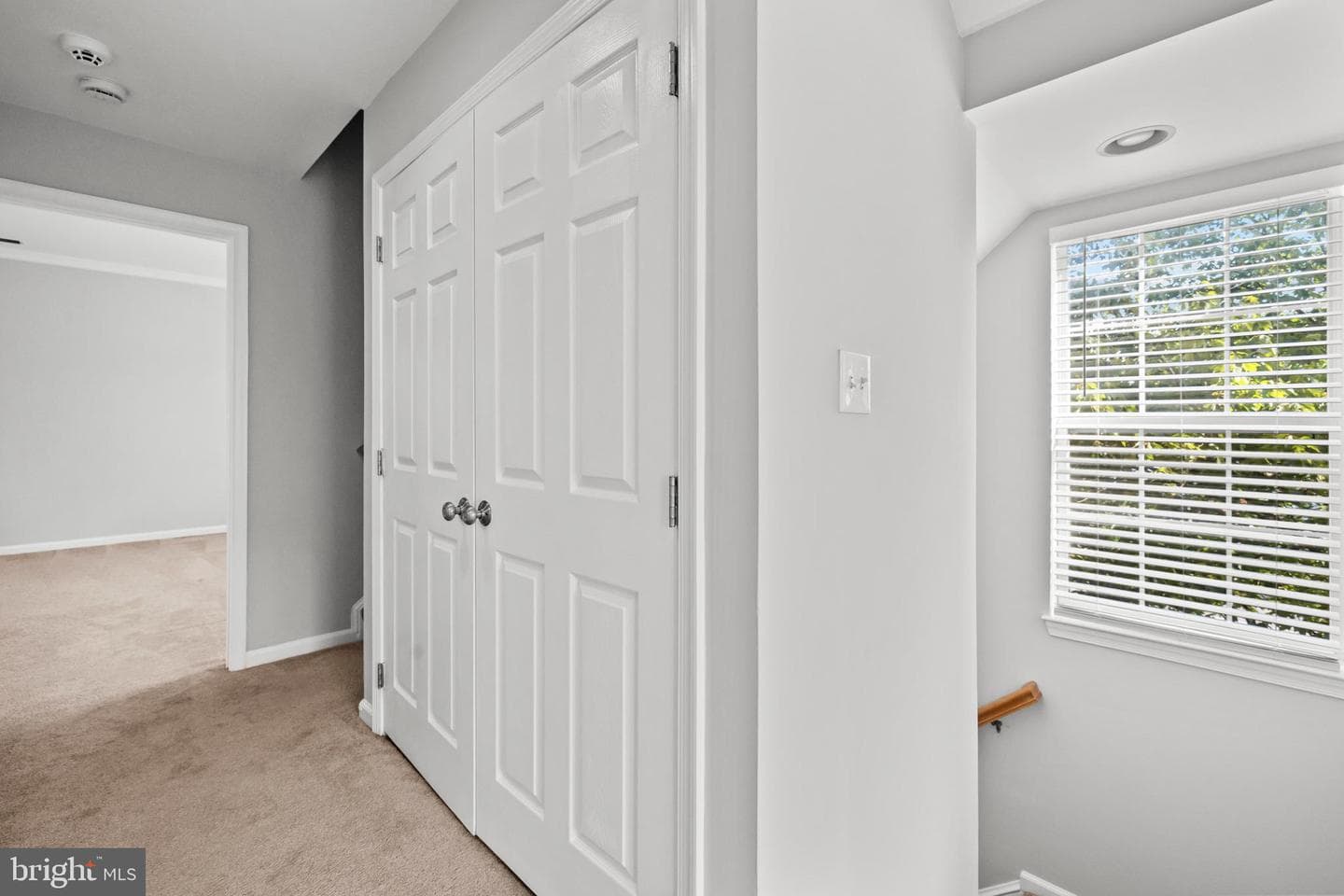 101 Martin Lane photo 47