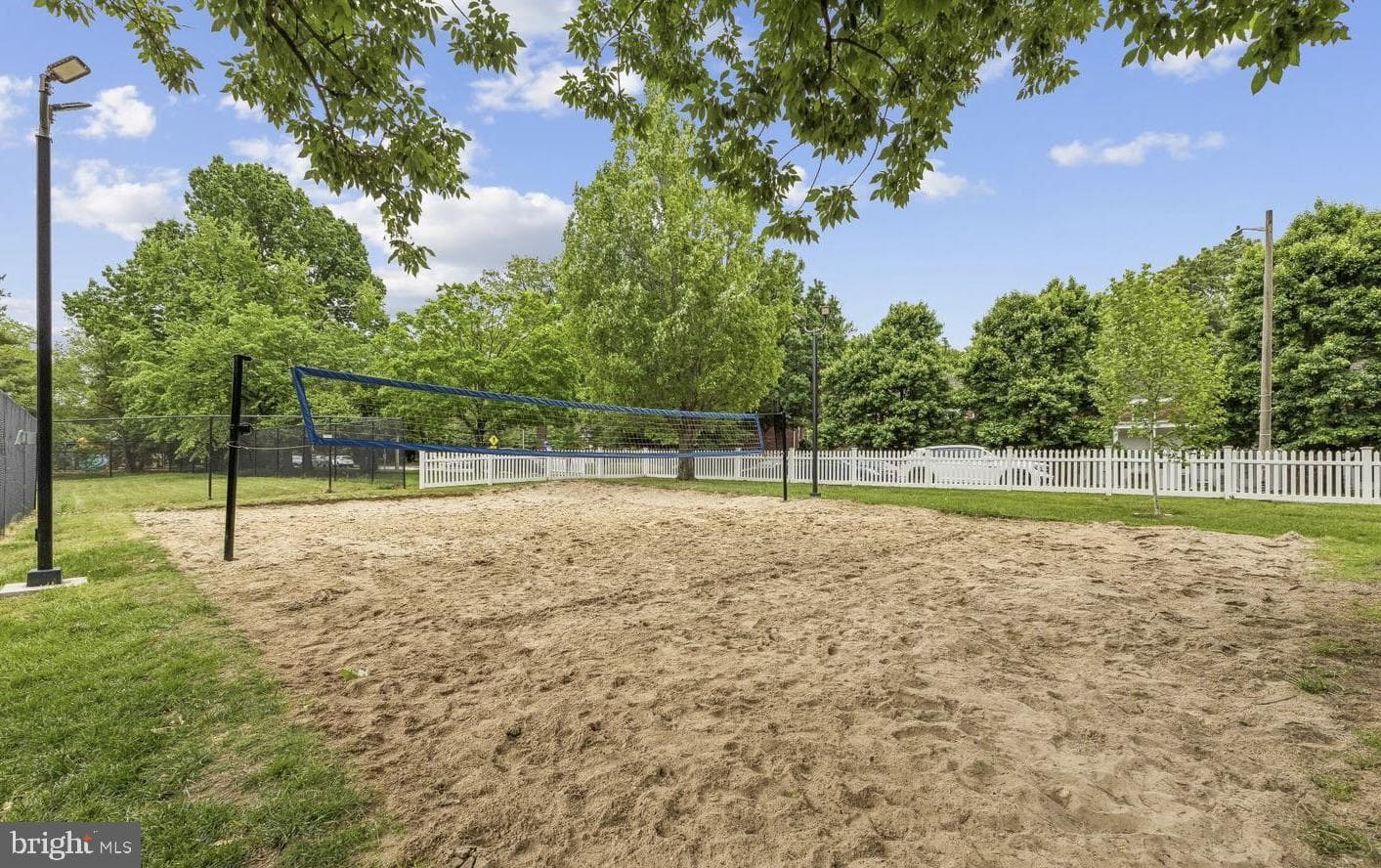 3484 Martha Custis Drive photo 29
