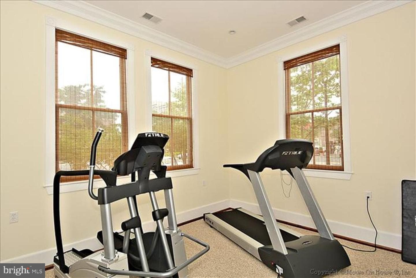 910 Powhatan Street #303s photo 27