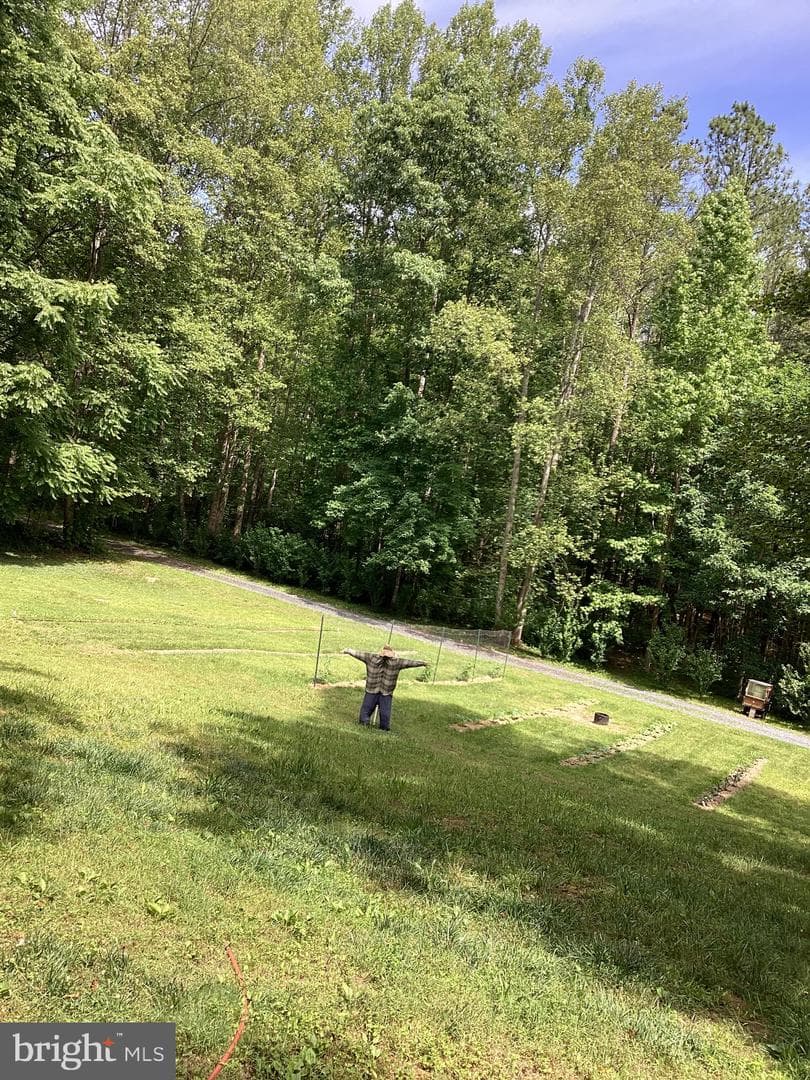 316 Coles Creek Lane photo 20