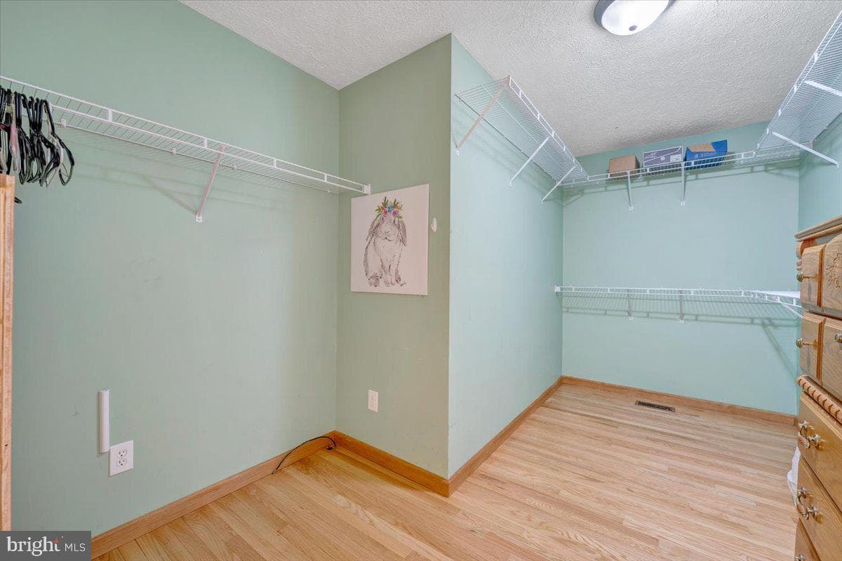100 Sandpiper Drive photo 28