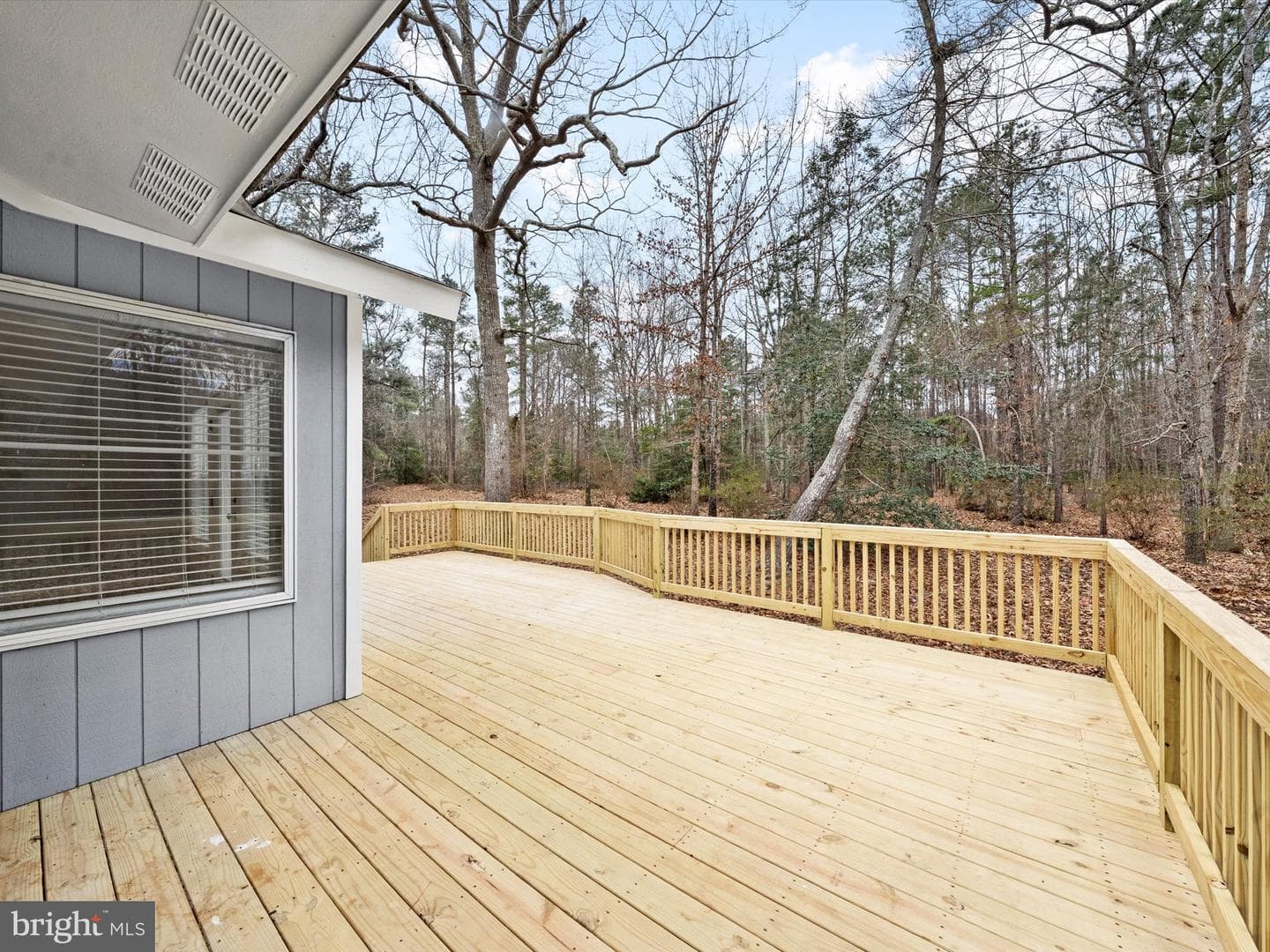 10009 River Road photo 43