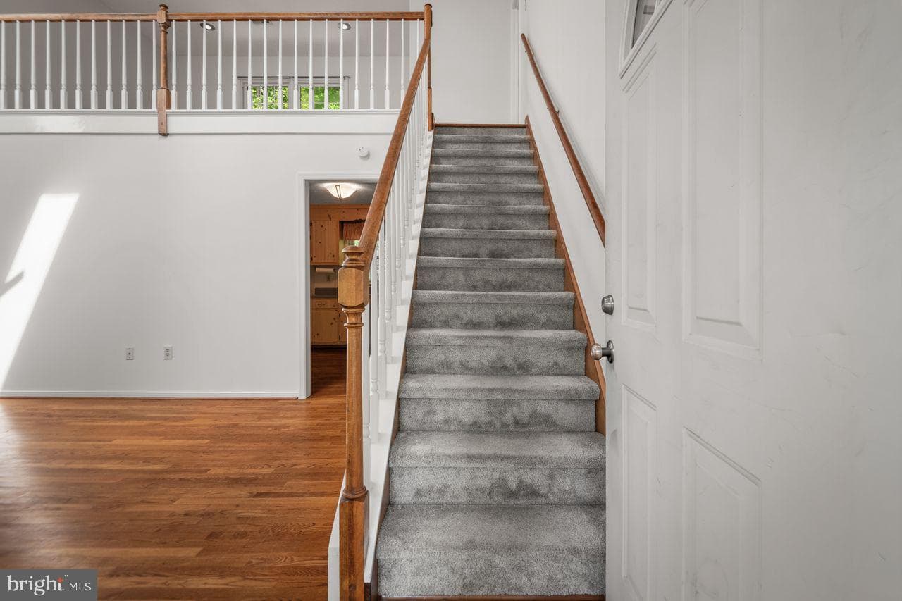14202 Branched Antler Place photo 29