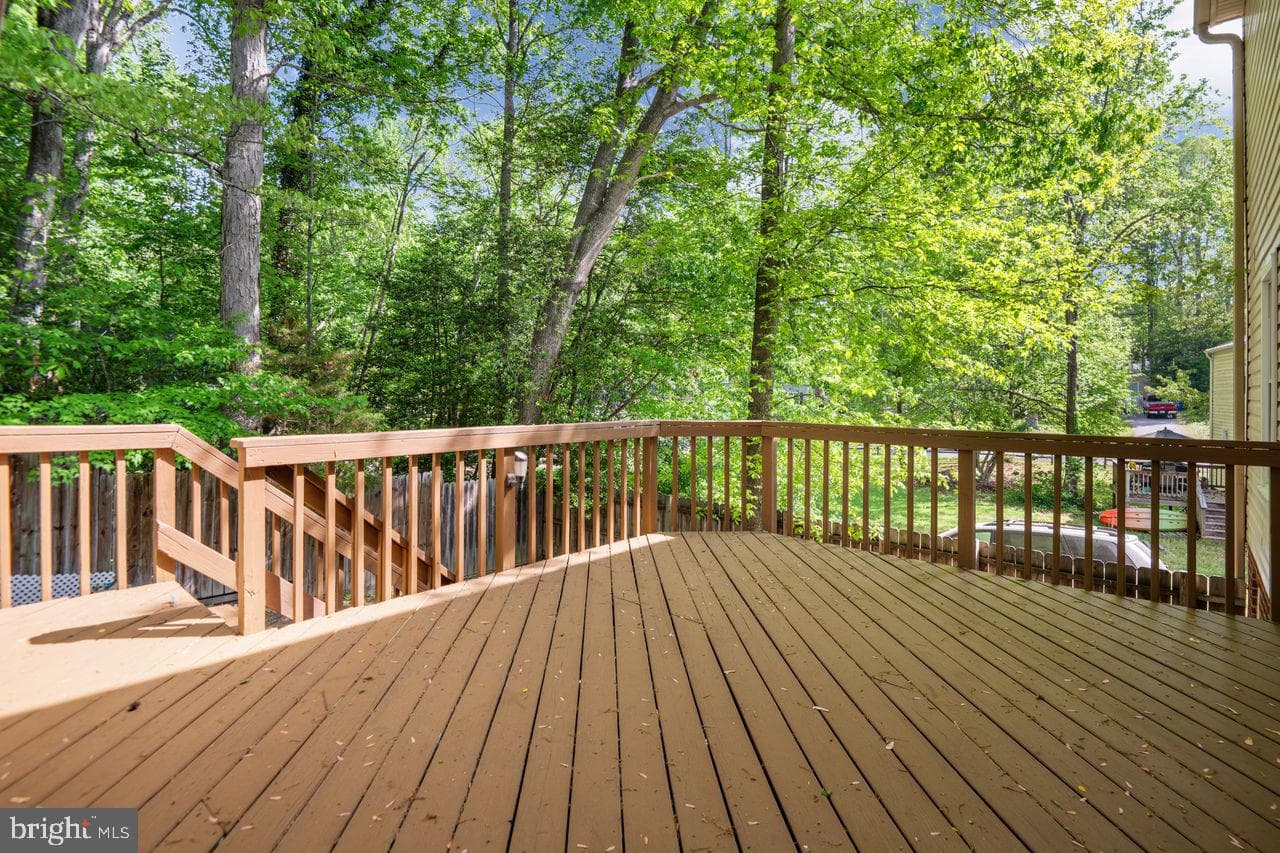 14202 Branched Antler Place photo 40