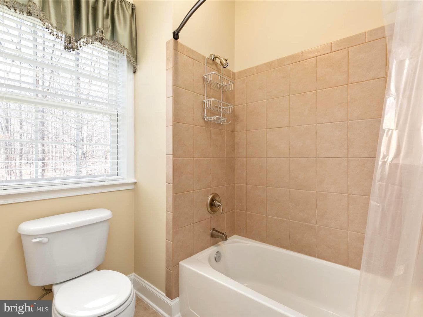 460 Solitude Lane photo 58