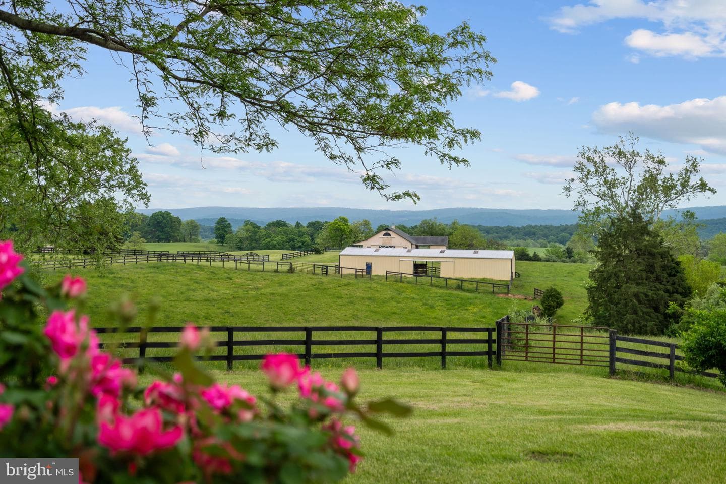 1600 Briggs Road photo 2