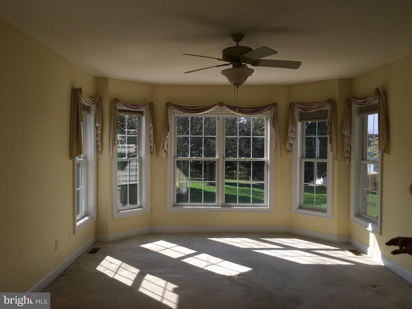 405 Custer Court photo 26
