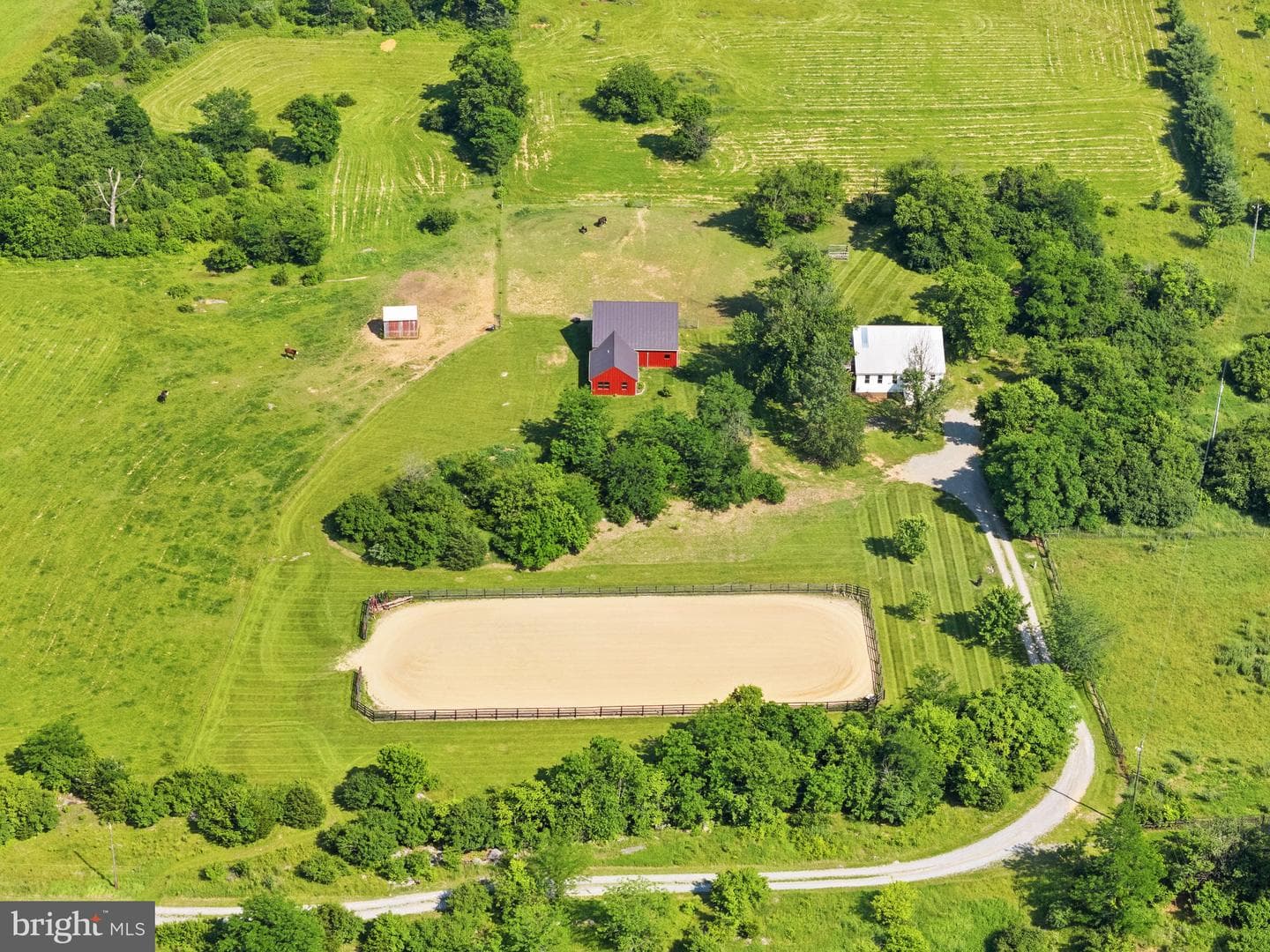 589 Bellevue Lane photo 3