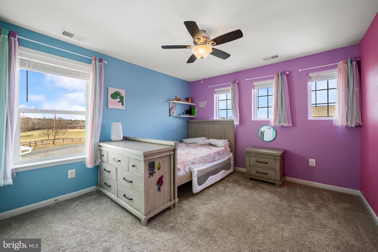 237 Pleasant Hill Drive photo 34
