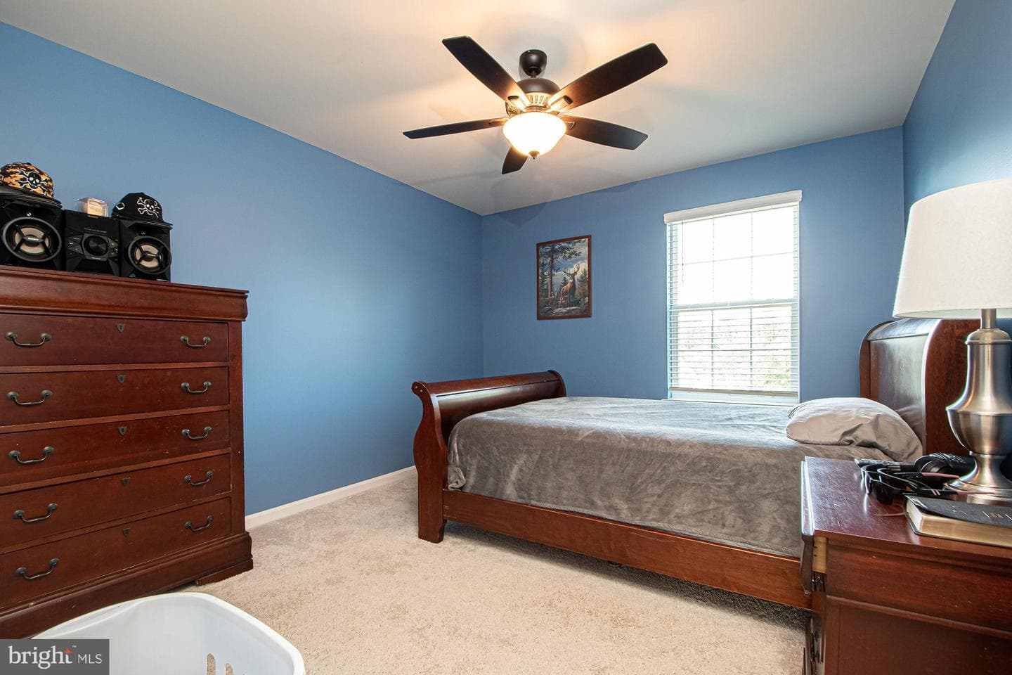 392 Norris Street photo 21