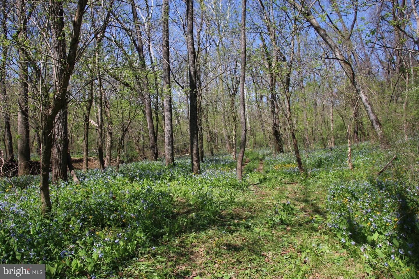 2983 Old Winchester Road photo 10