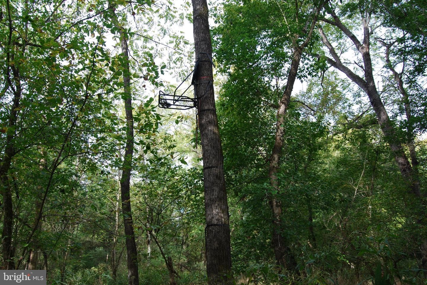 2983 Old Winchester Road photo 107