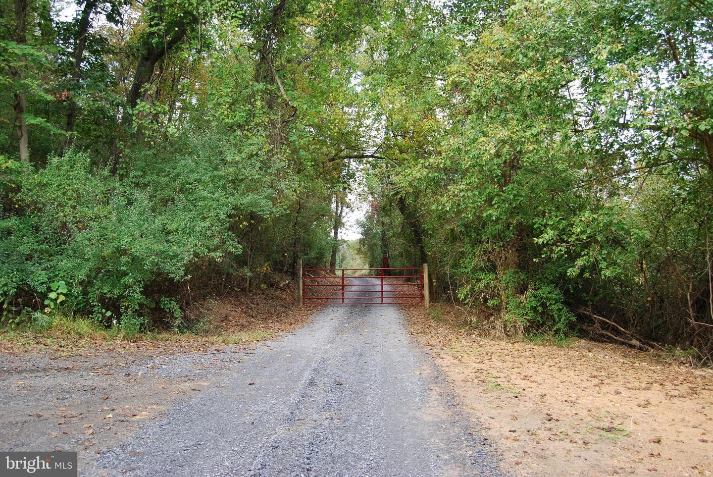 2983 Old Winchester Road photo 108